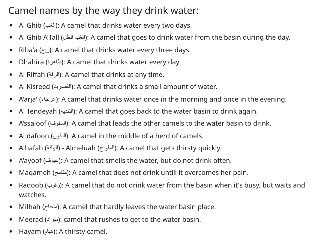 camel names in arabic based on water