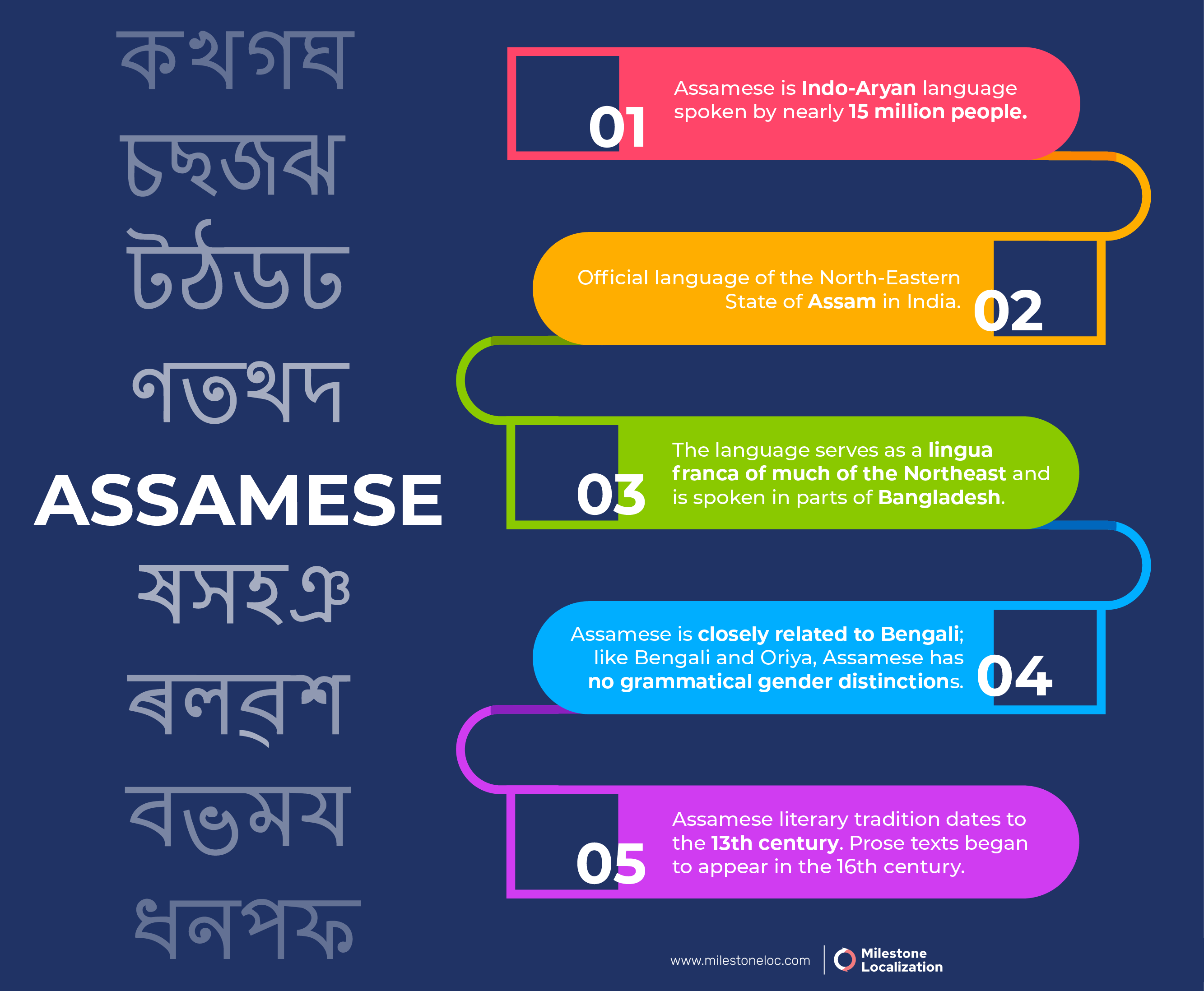 Assamese Language Infographic