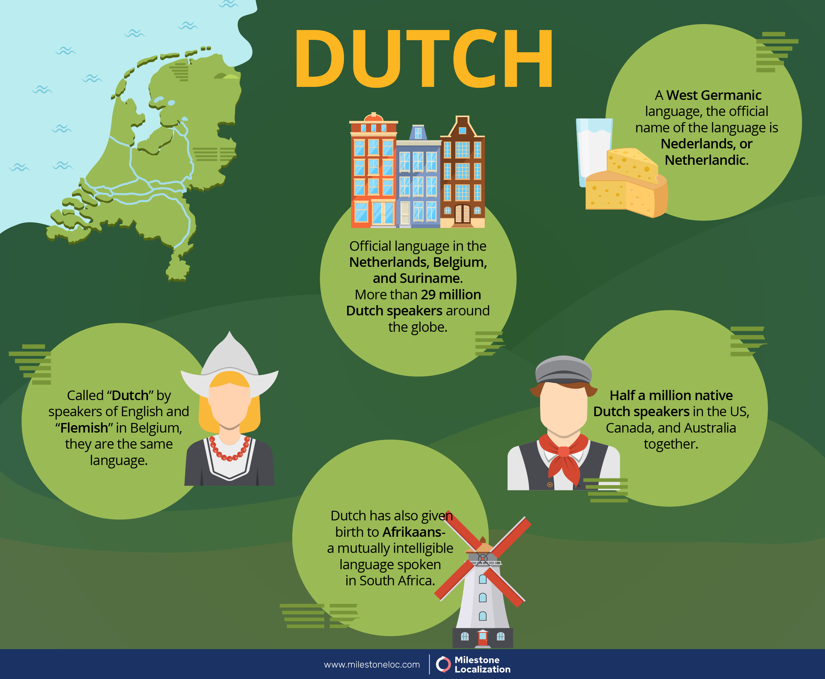 Dutch Language Infographic