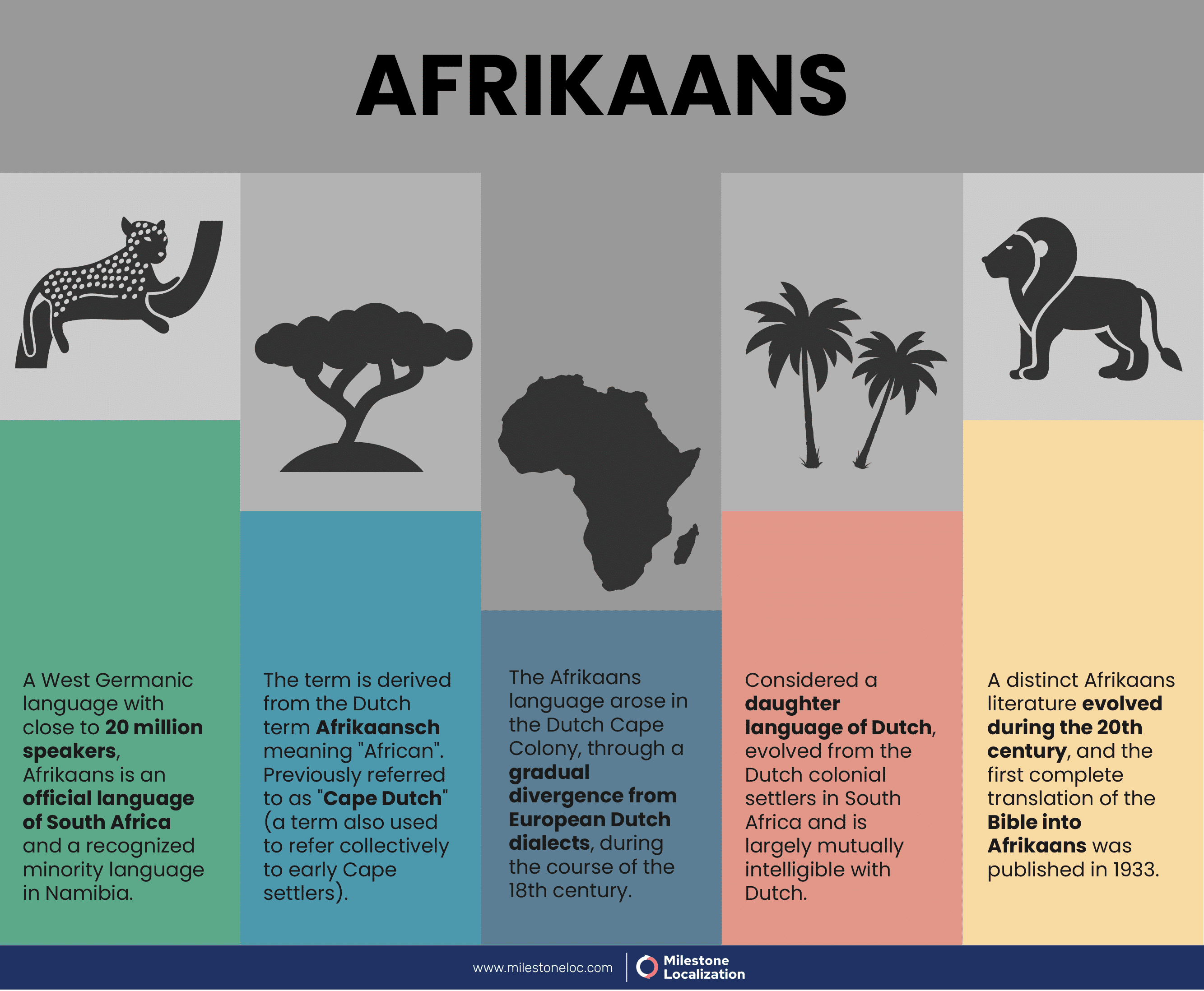 Afrikaans Language Infographic