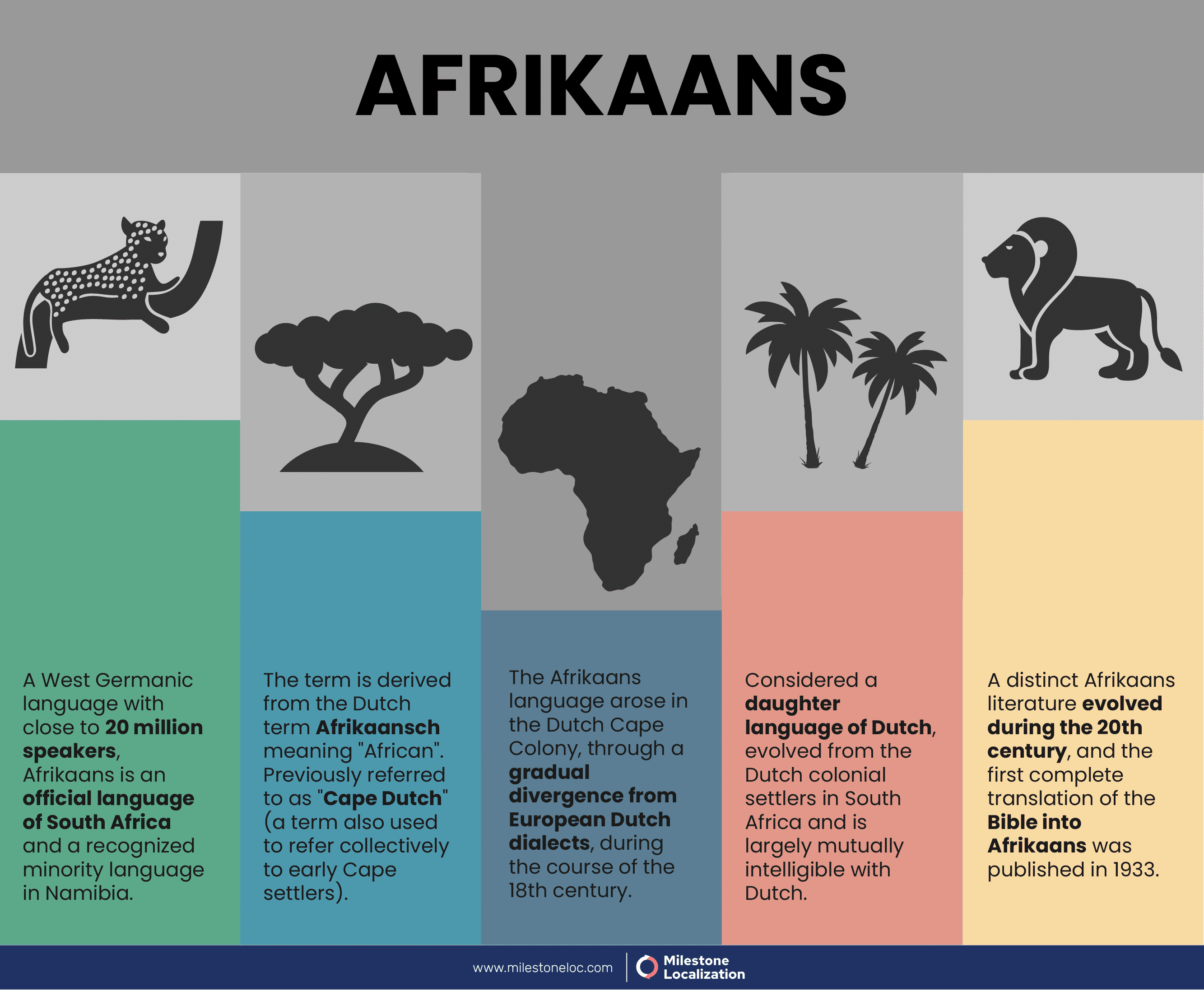 Business In South Africa: Economy, Languages & Cultural Etiquette