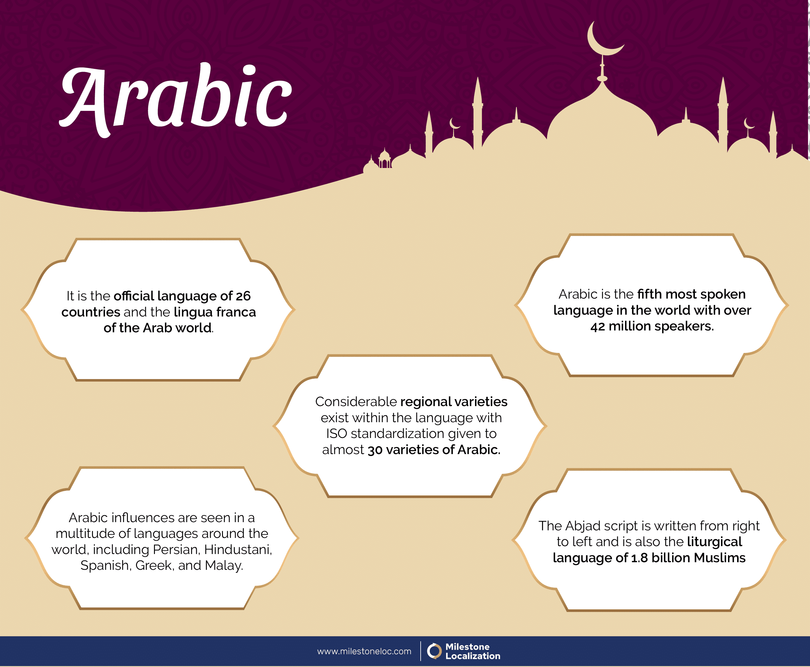 Arabic Language Infographic