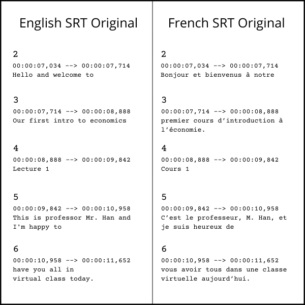 English to French SRT Translation