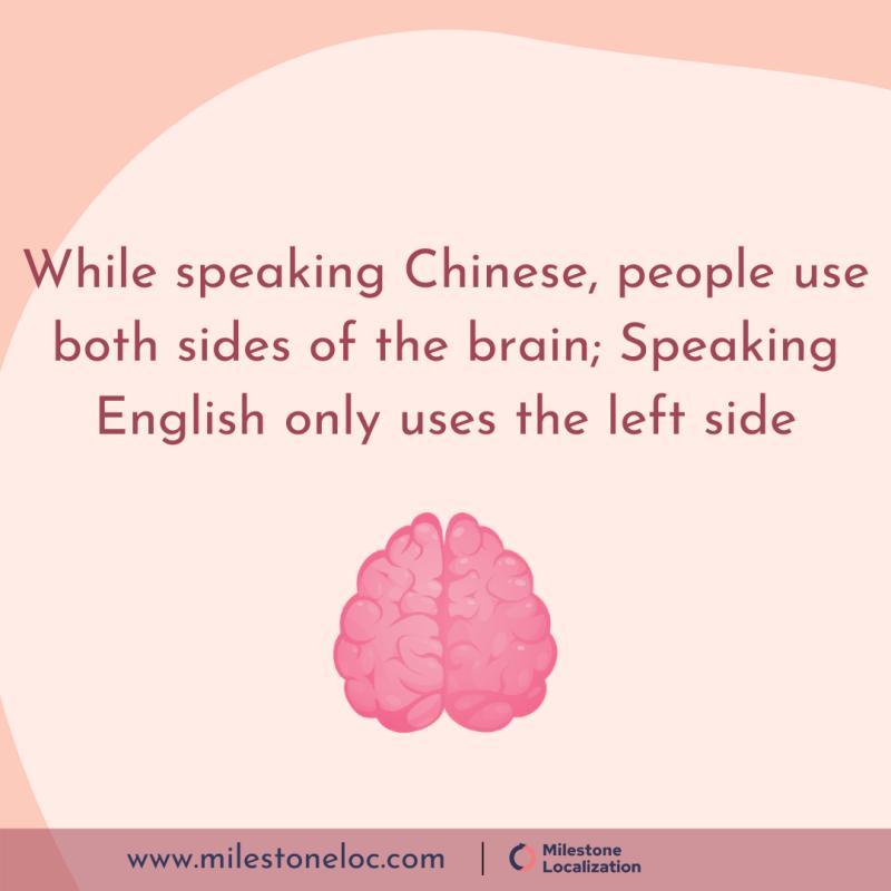 Chinese language facts