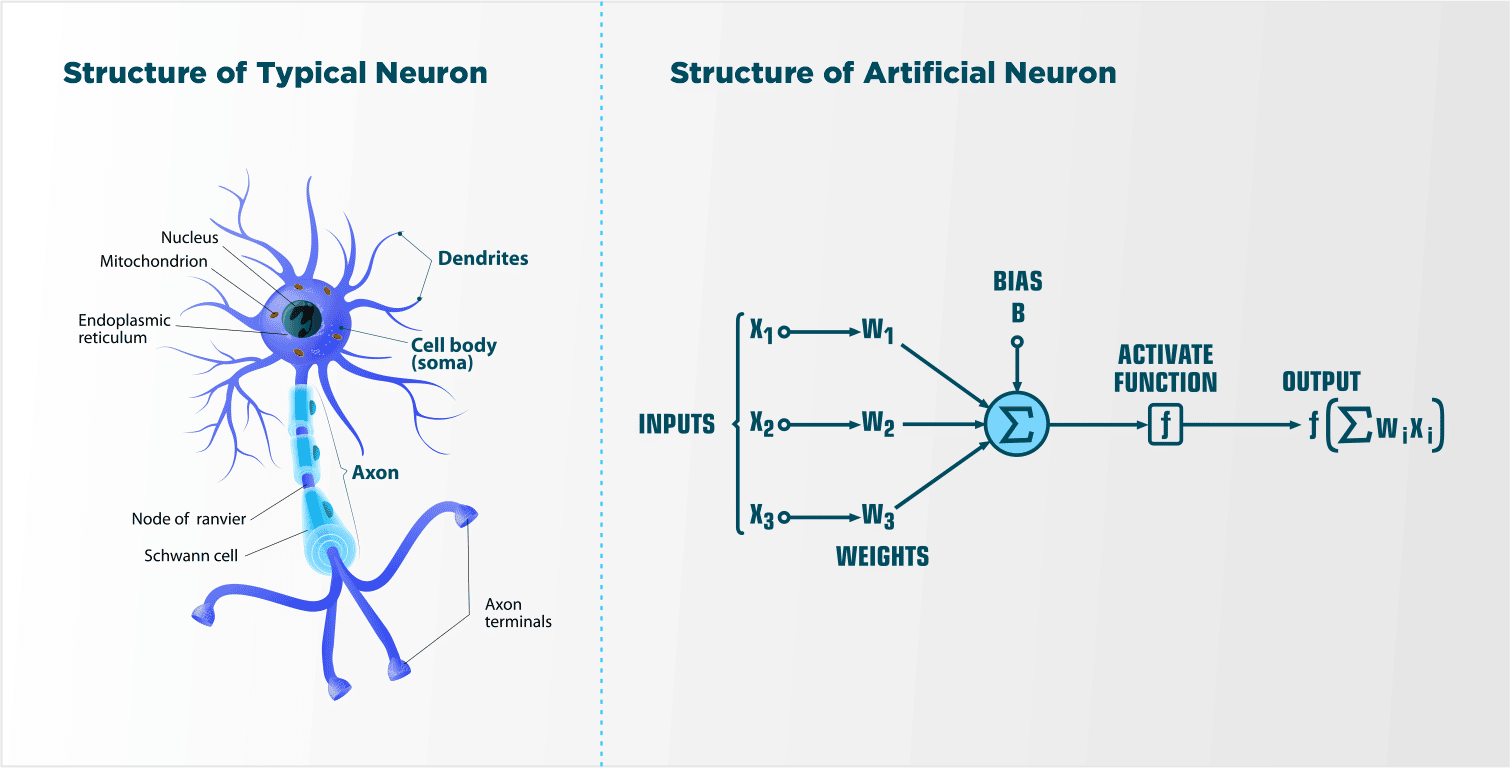 Artificial Neuron