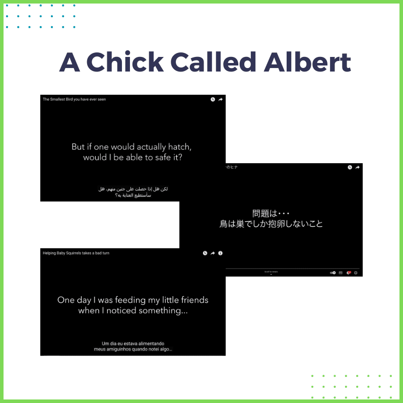 A Chick Called Albert