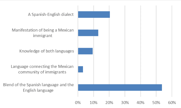 Spanglish Language: Everything You Need To Know