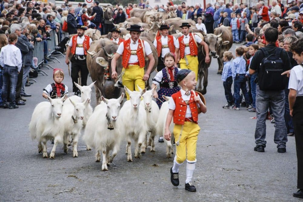 Swiss Culture
