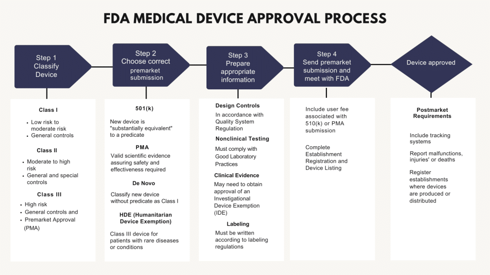 FDA Translation Requirements: Your Essential Guide To Regulatory ...