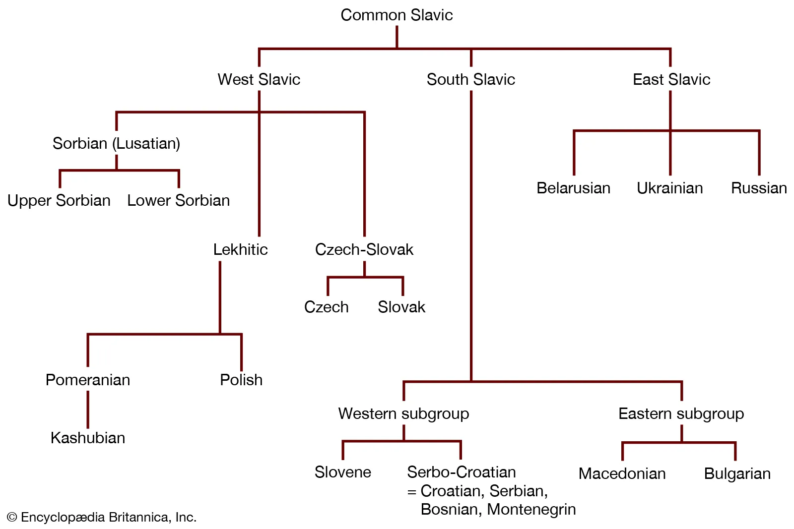 languages-family-tree