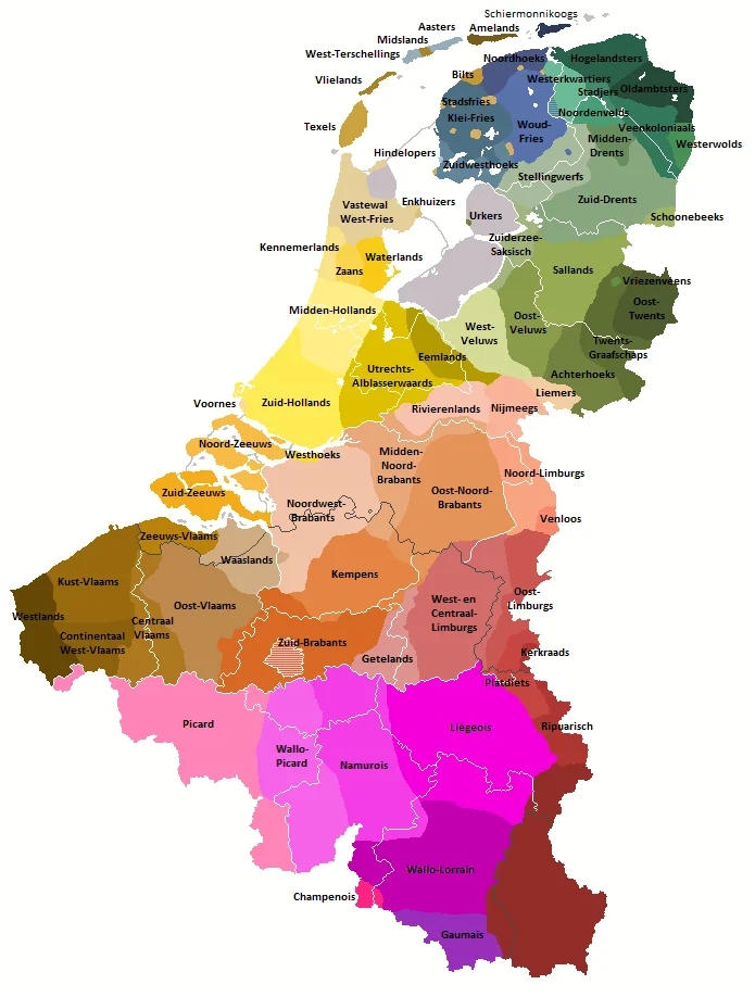 top languages spoken in Netherlands