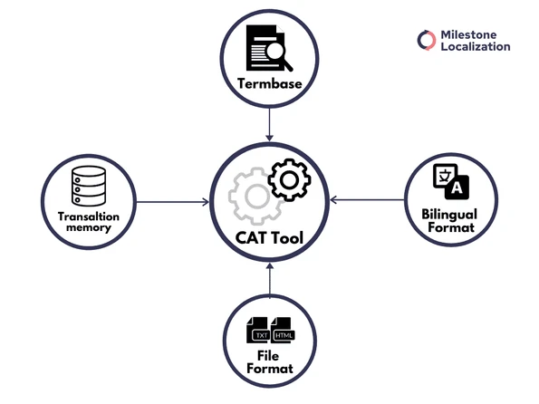 cat tool - translation memory