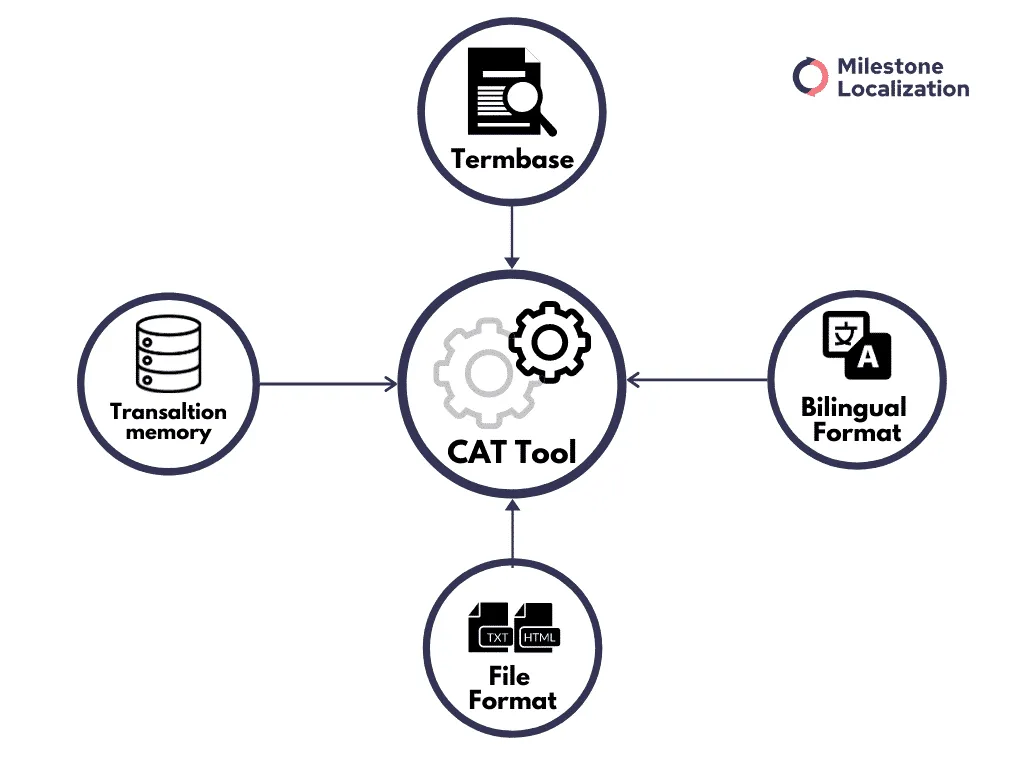 cat tool - translation memory