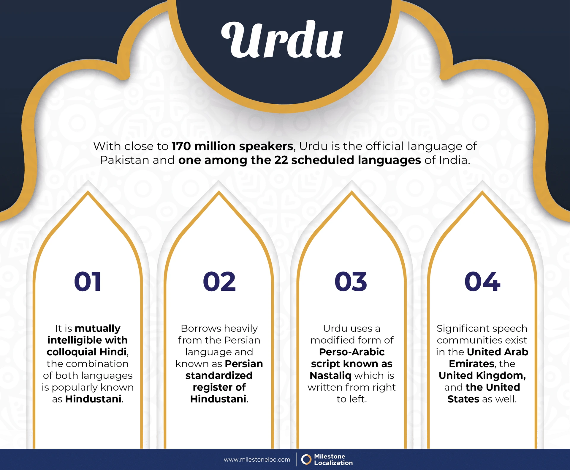 Urdu Language Infographic