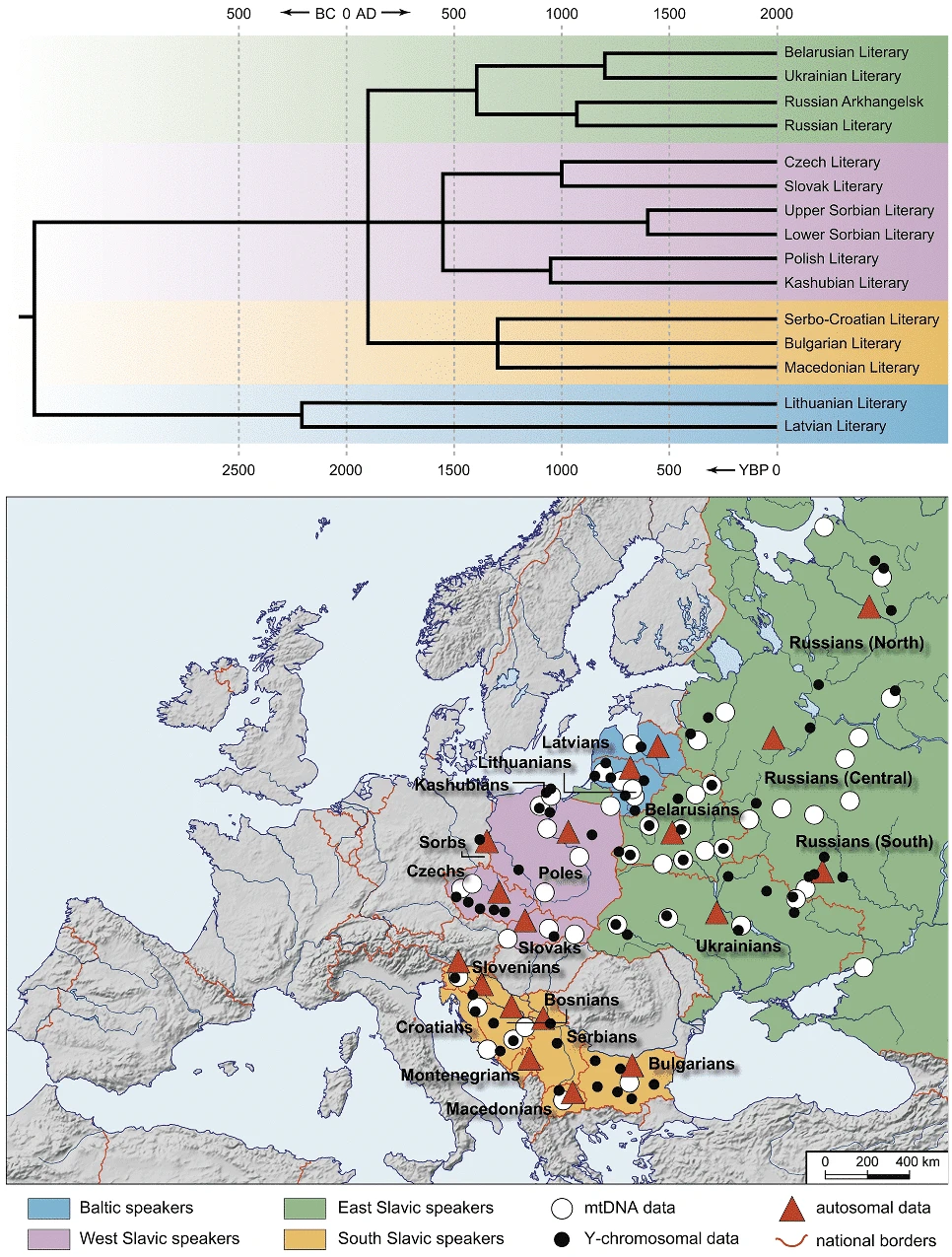 history of Slavic Languages