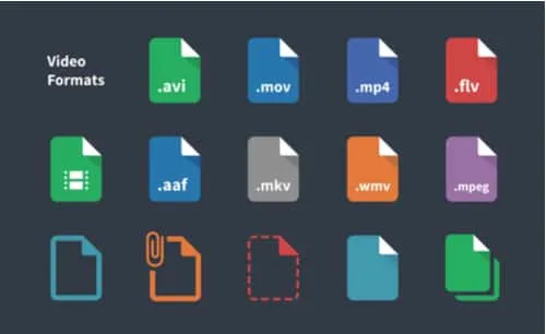video formats
