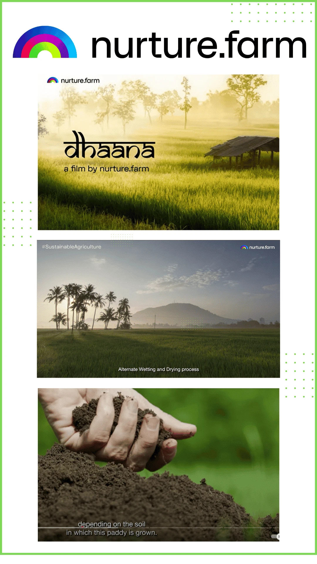 Nurture farm option 2 Rosie Gabrielle