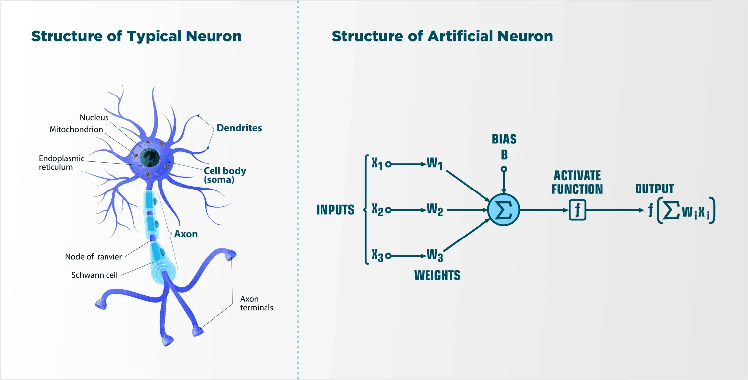 Artificial Neuron