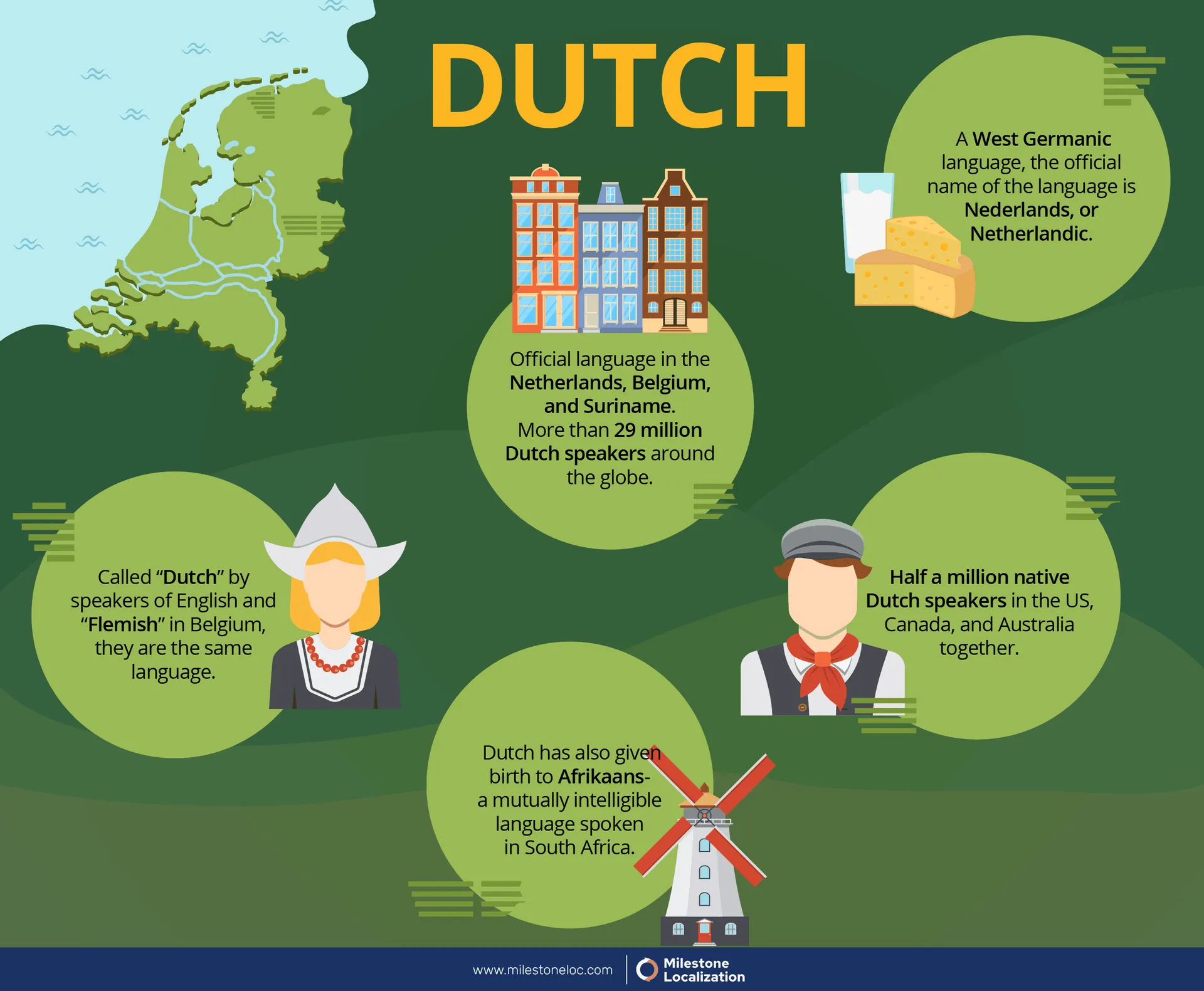 Dutch Language Infographic