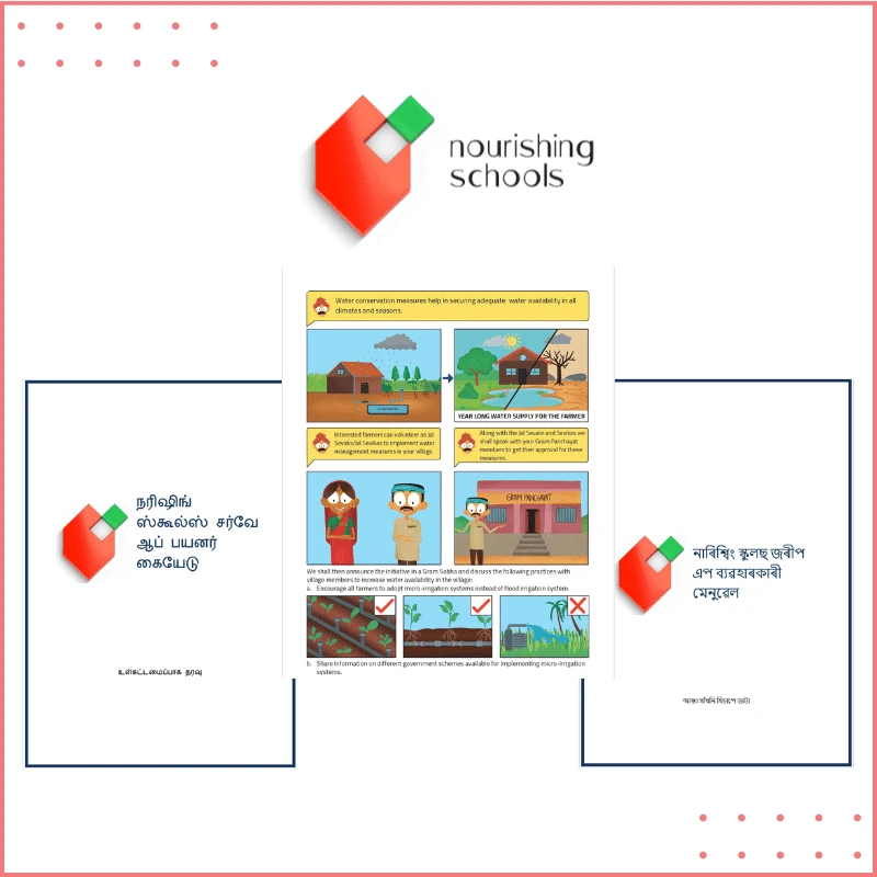 Nourishing schools foundation