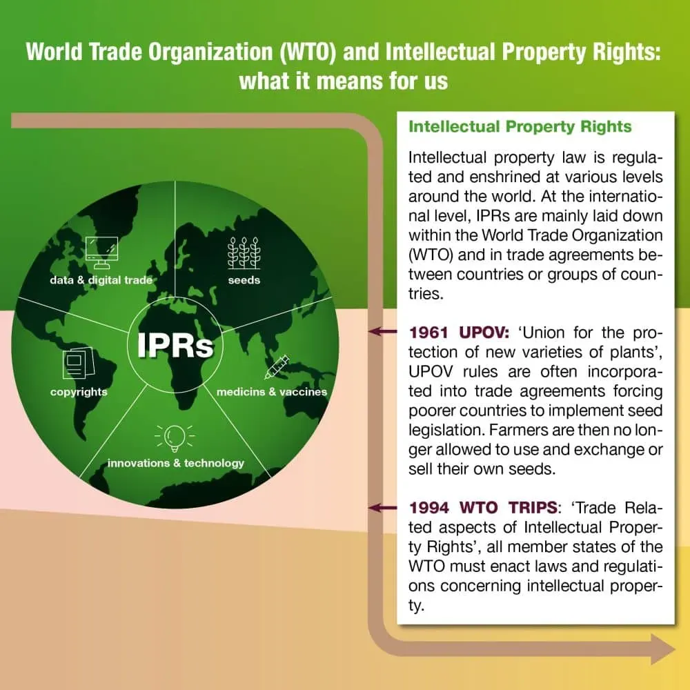 BE-TRIPS-infographic-