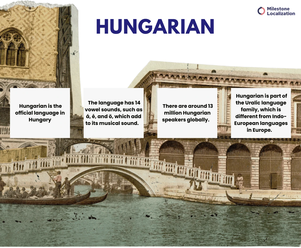 Hungarian Language infographic