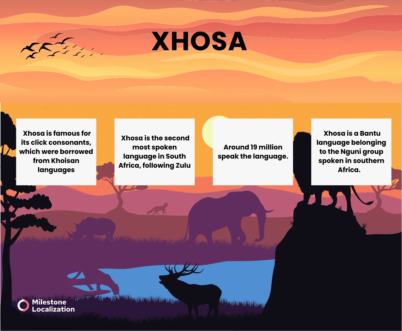 Xhosa Language infographic
