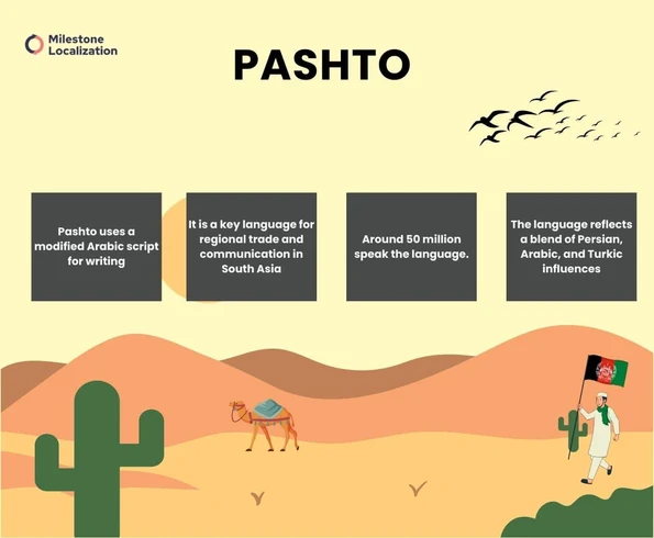 Pashto Language infographic