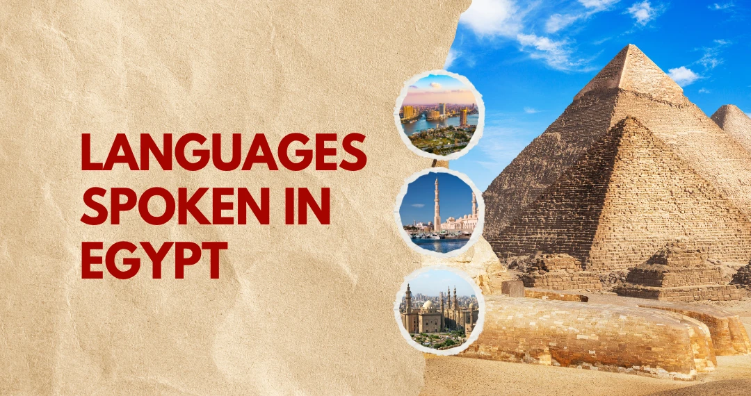 Top Languages Spoken In Egypt 1 Top Languages Spoken In Egypt 1