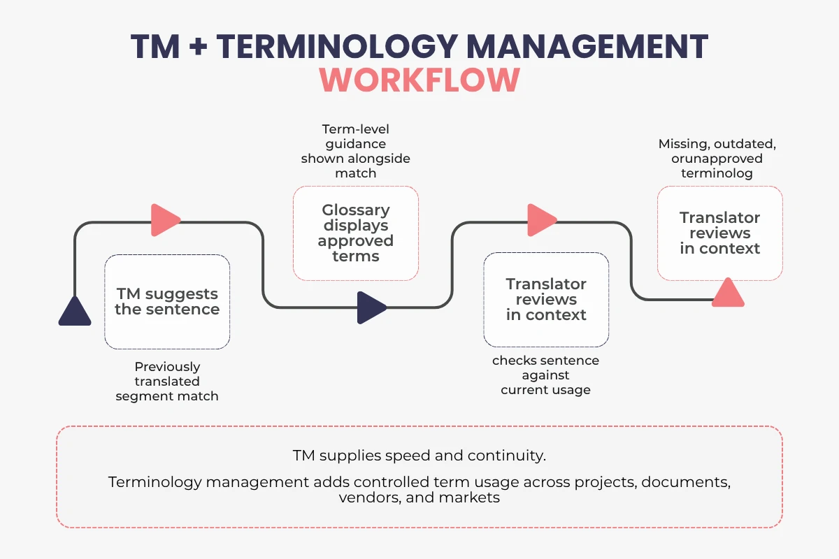 TM vs Terminology Management Workflow