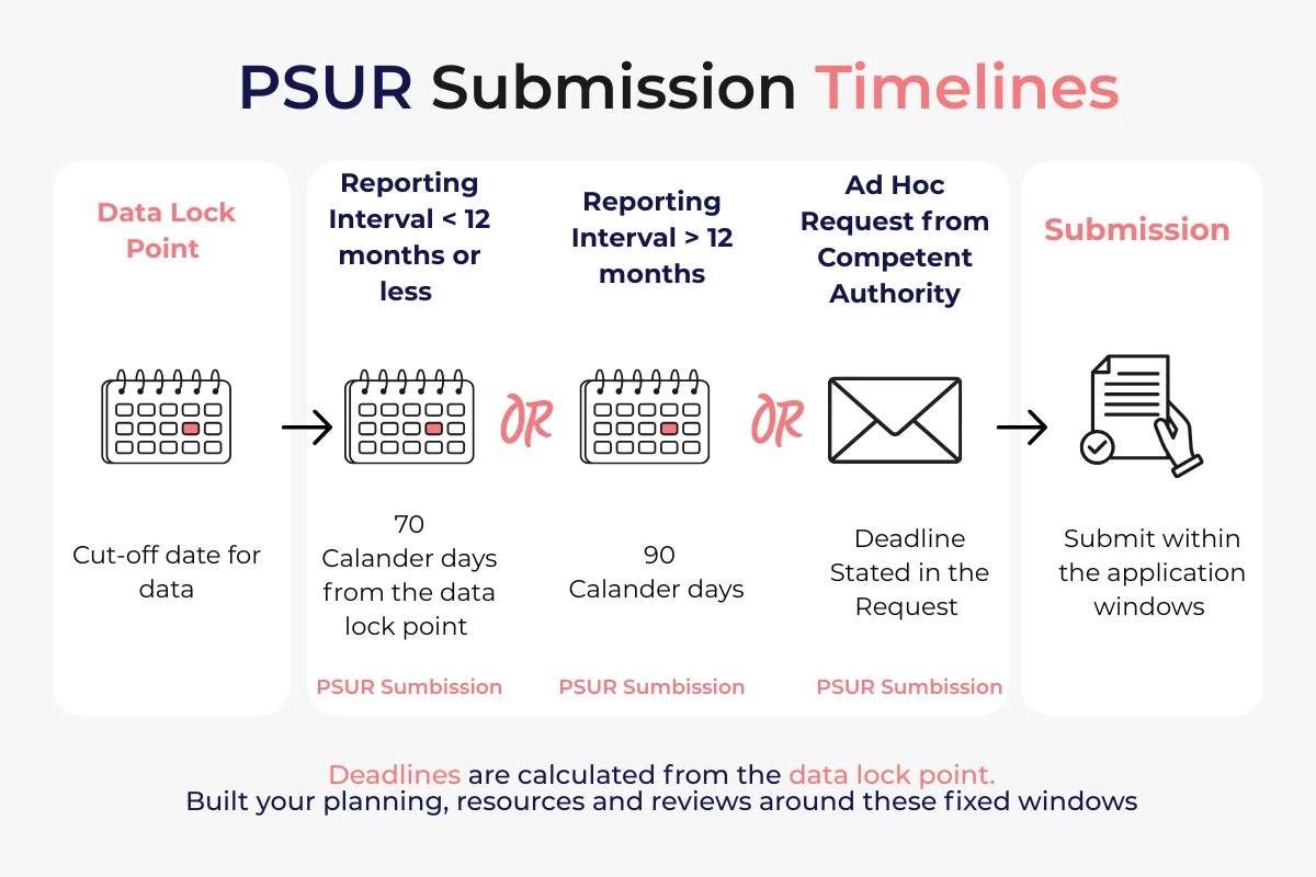Need Help Navigating EU PSUR Translations?